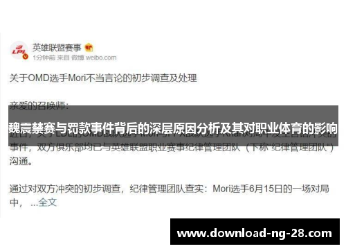 魏震禁赛与罚款事件背后的深层原因分析及其对职业体育的影响